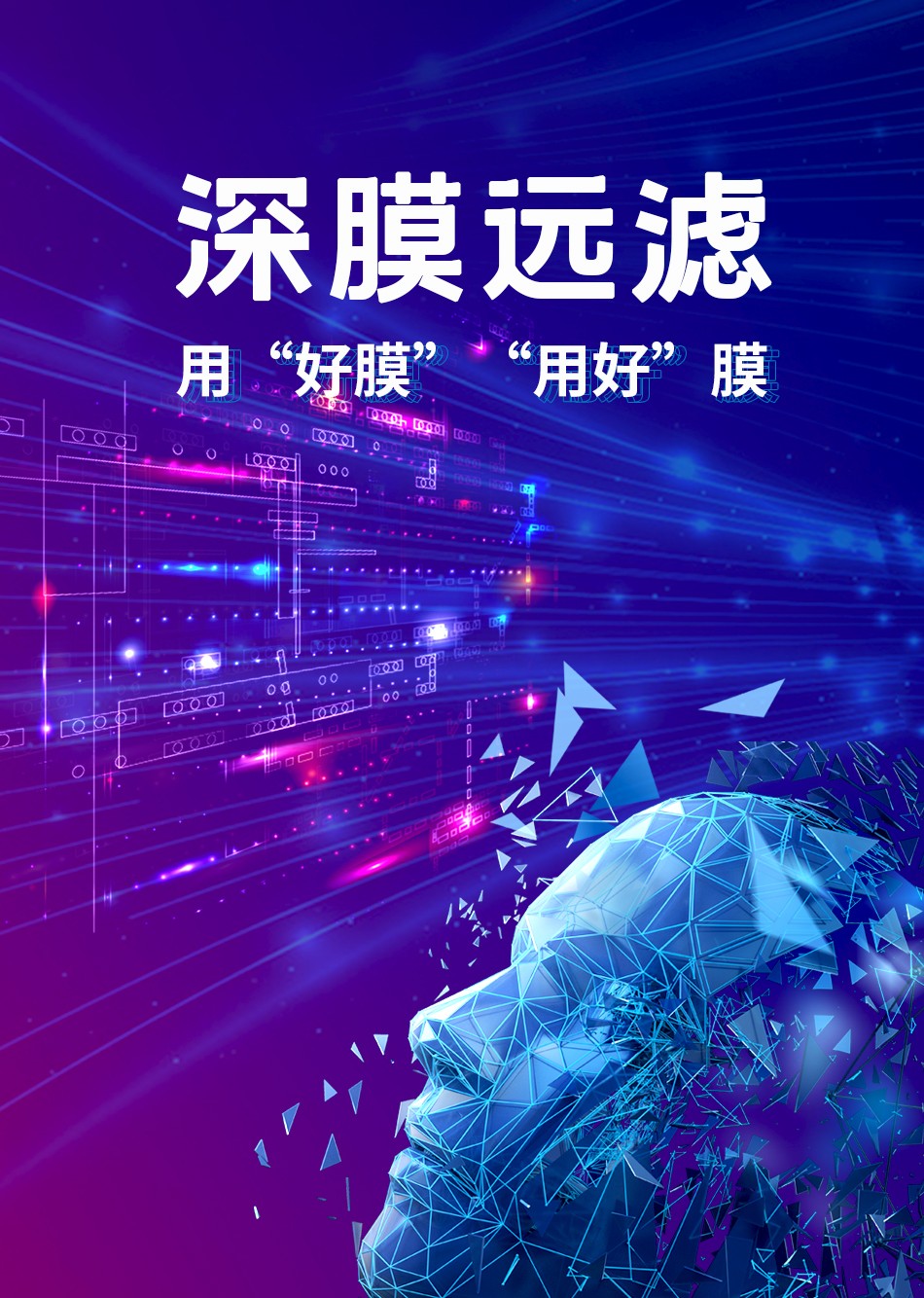 白酒 第377页