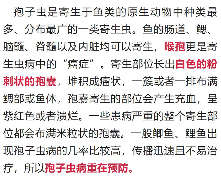 五A添盛坊青稞原浆 第293页