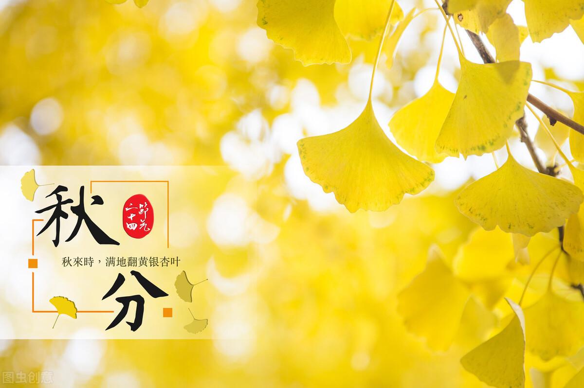 第741页