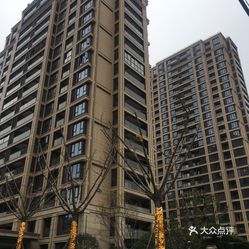 第224页