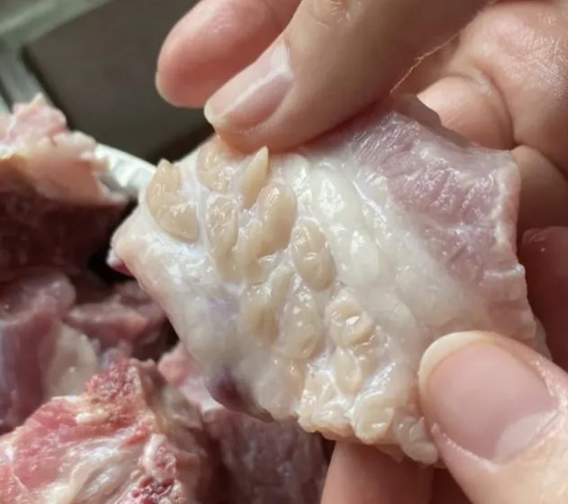 猪最新疾病，理解与应对之道