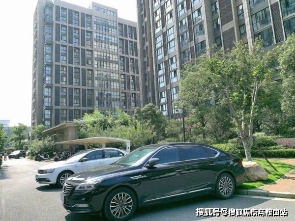 上海九亭最新房价，梦想与现实交汇，学习铺就未来之路