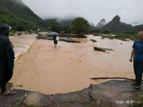 绿色经典精盛青稞酒 第36页