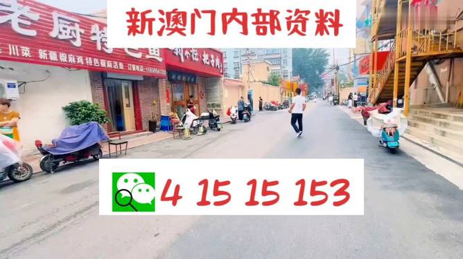 2024澳门天天开好彩大全最新版本下载,解答配置方案_PSZ29.457温馨版