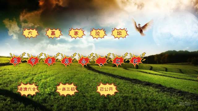 澳门4949最快开奖结果,策略优化计划_ZWS50.257便携版