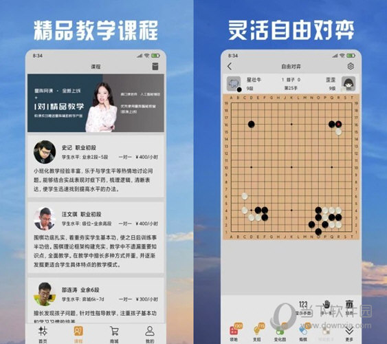 2024年新澳门天天开奖,实地研究解答协助_AWY29.245精选版