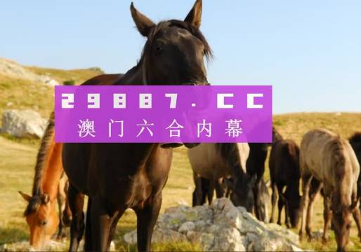 第2013页