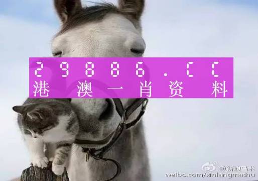 第2004页