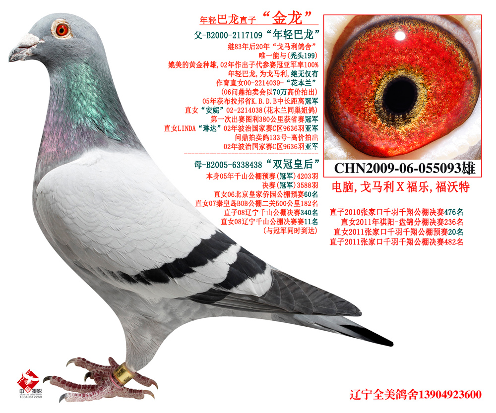 8808金龙彩,高速应对逻辑_ALD29.749限量版