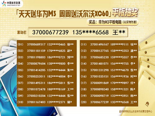 246天天天彩天好彩资料大全玄机,深入研究执行计划_SHL29.757社交版