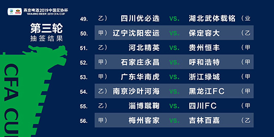 2024新澳精准资料免费提供,灵活执行方案_ZWL29.155极致版