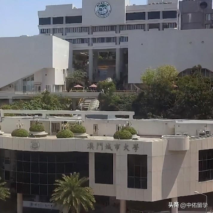旧澳门开奖结果2024开奖记录,社会承担实践战略_YLD50.708可变版