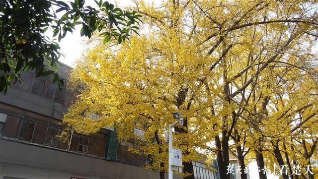 武昌最新地图，一场充满爱与陪伴的探险之旅