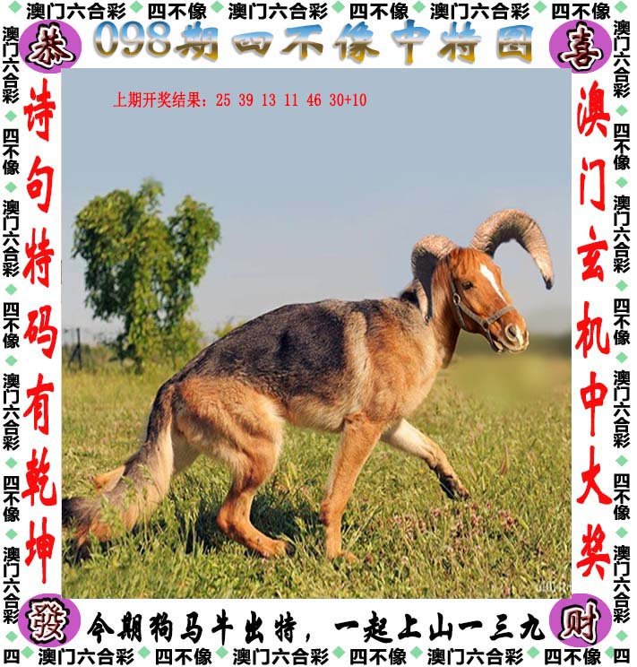 2024新版四不像图,执行验证计划_MKB29.461社交版