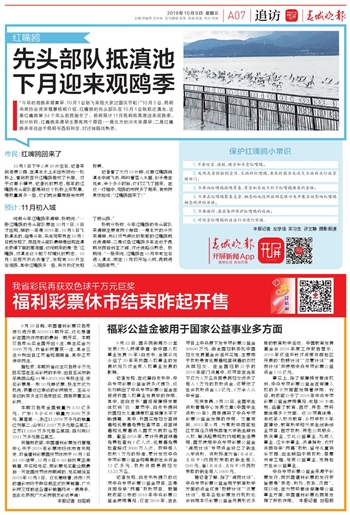 2024新澳门正版资料免费大全,福彩公益网,专业解读方案实施_DOP50.731美学版