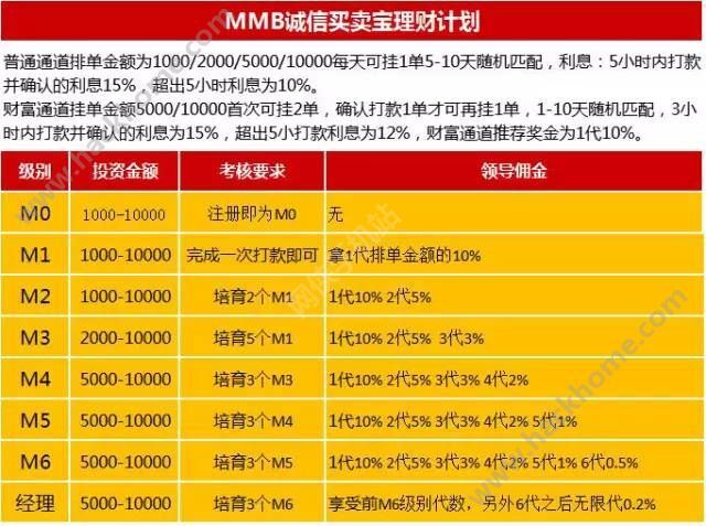 诚信买卖宝最新动态揭秘，温馨有趣的日常故事揭晓！