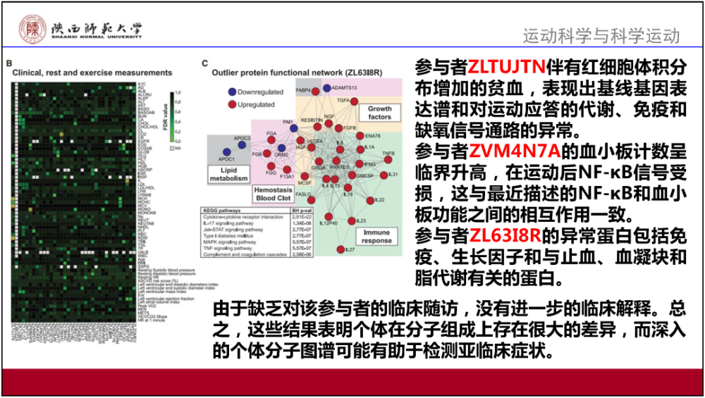 2023澳门管家婆资料,解析解释说法_NKH49.107轻量版