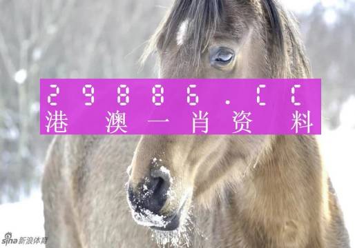 澳门精准一肖一码100%精准,可依赖操作方案_KMX49.482设计师版