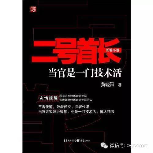 最新官场小说2016，巷弄深处的官场故事与独特小店的权力风云