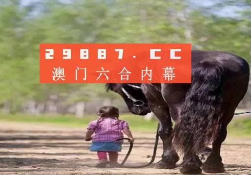 2024澳门精准正版图库,实证分析详细枕_XYI49.877全景版