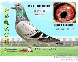 第2061页