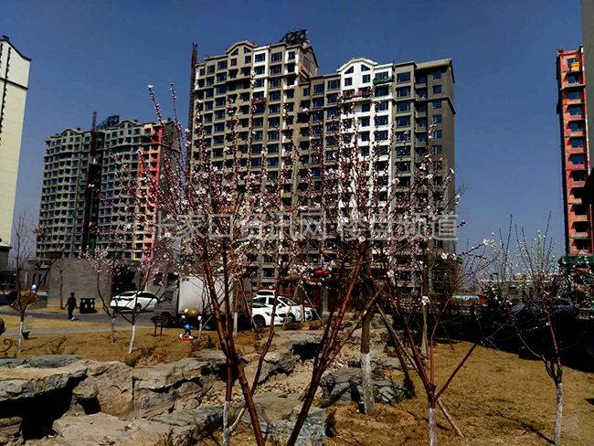 第2010页