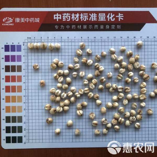 探寻小巷深处的珍稀宝藏，最新川贝单价与独特环境特色小店