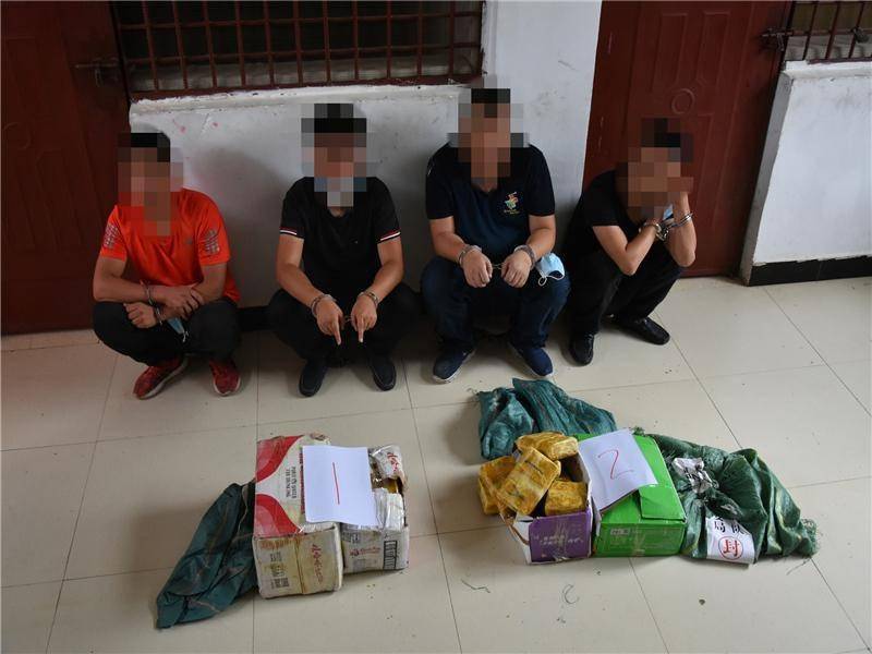 最新破获贩毒案件深度解析，揭示毒品犯罪内幕与打击策略